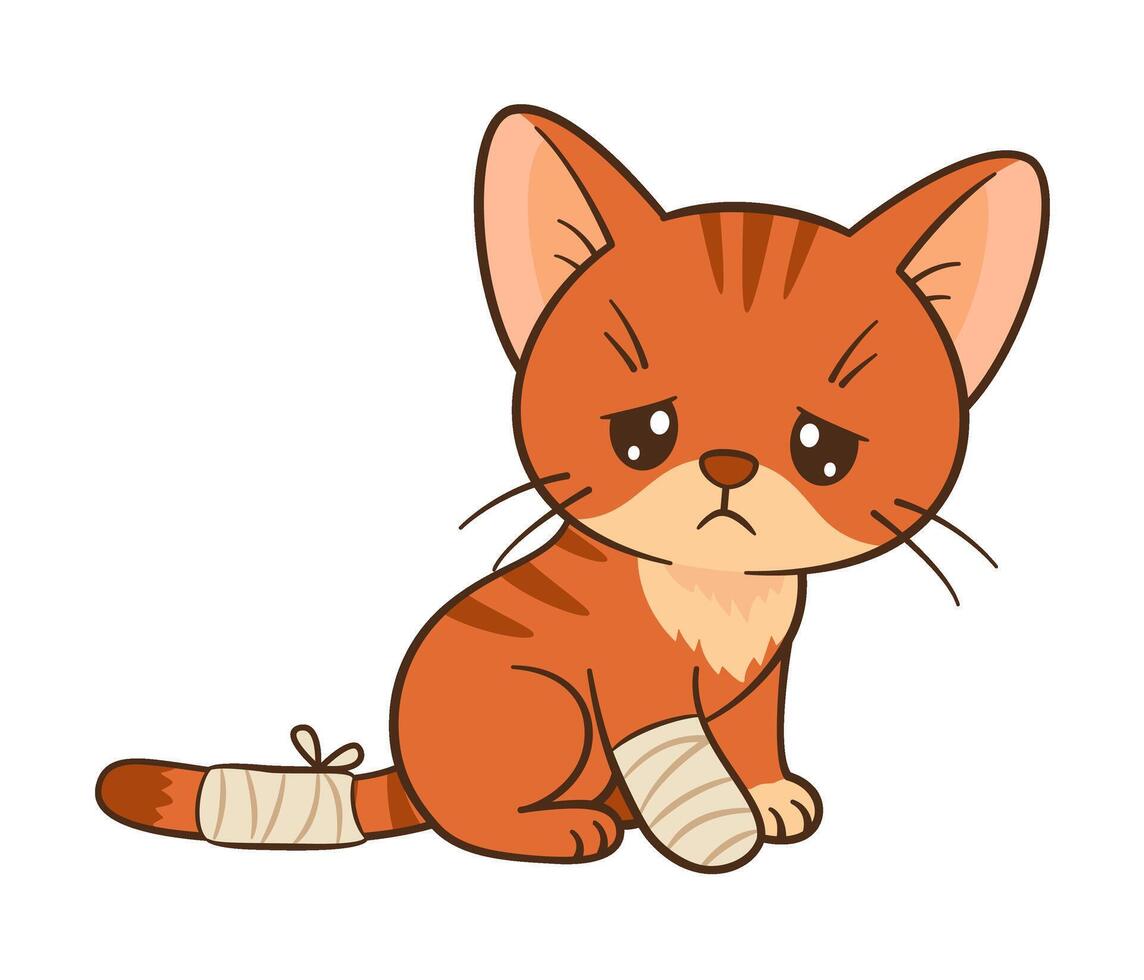 Sad cartoon kitten sits with bandaged paw and tail. Cute ginger tabby with sore paw. Chibi Flat style clean, simple design. Perfect for childrens content, greeting card, sticker, tshirts, mug, poster vector