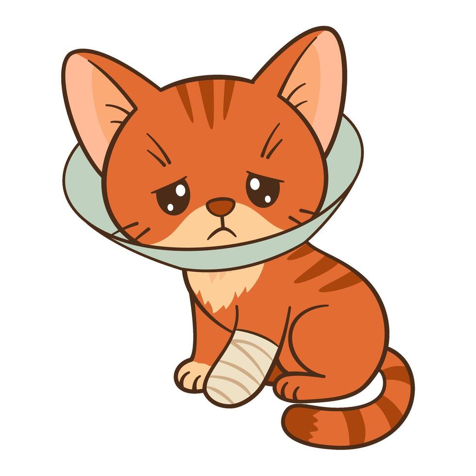 Sad kitten sits with a bandaged paw. Cute ginger tabby with sore paw in Chibi Flat style clean, simple design. Perfect for childrens content, greeting cards, stickers, tshirts, mug and poster vector