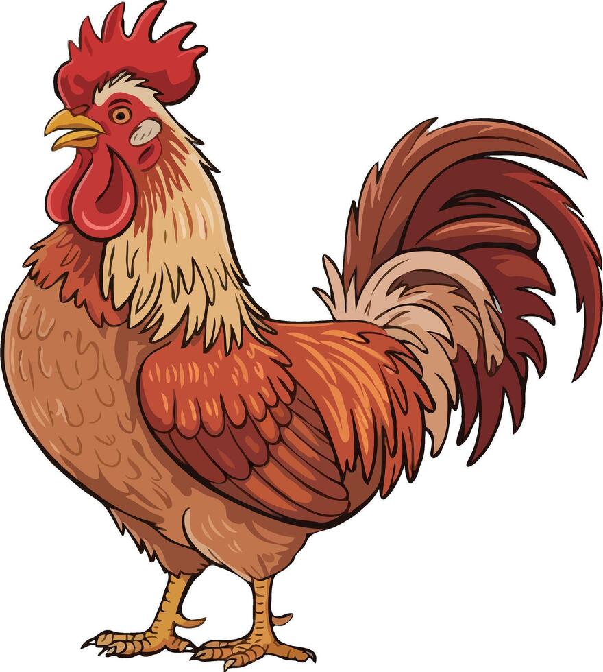 Vibrant Cartoon Rooster Illustration with Detailed Feathers and Comb on White Background vector