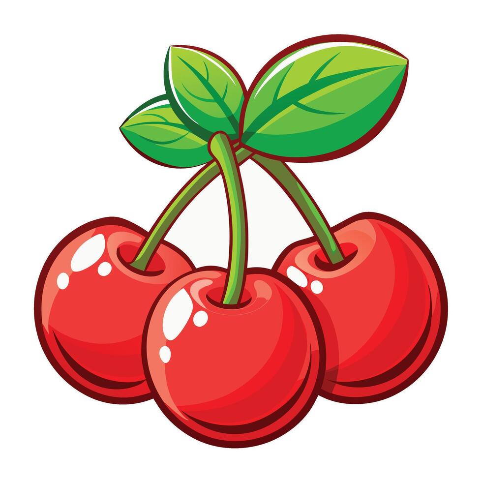 Three Glossy Red Cherries with Vibrant Green Leaf and Intertwined Stems vector