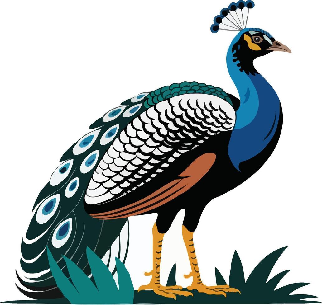 Vibrant Flat Design Artwork Featuring a Colorful Peacock Bird vector