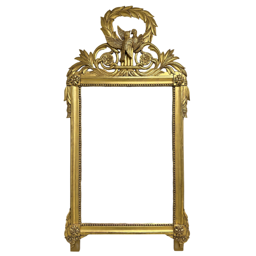 Empty Frame Gold Mirror png