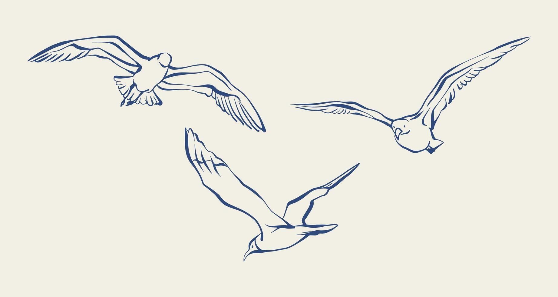 Flying seagulls hand drawn ink sketch. Set of three flying seagulls in vintage sketch style. Blue line art seagull birds illustration for marine themed designs, cards, and banners. vector