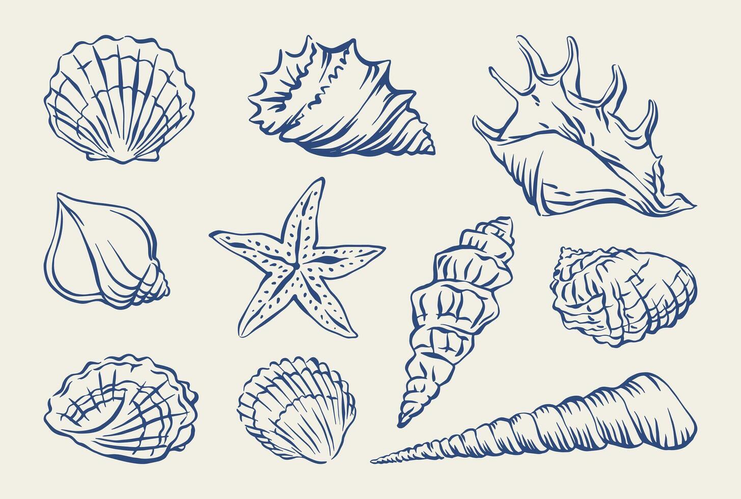 Seashell hand drawn in ink set. Illustration of marine shells. Summer vacation doodle shells for card, poster, menu, banner. Tropical nautical beach shell collection for summer design. vector