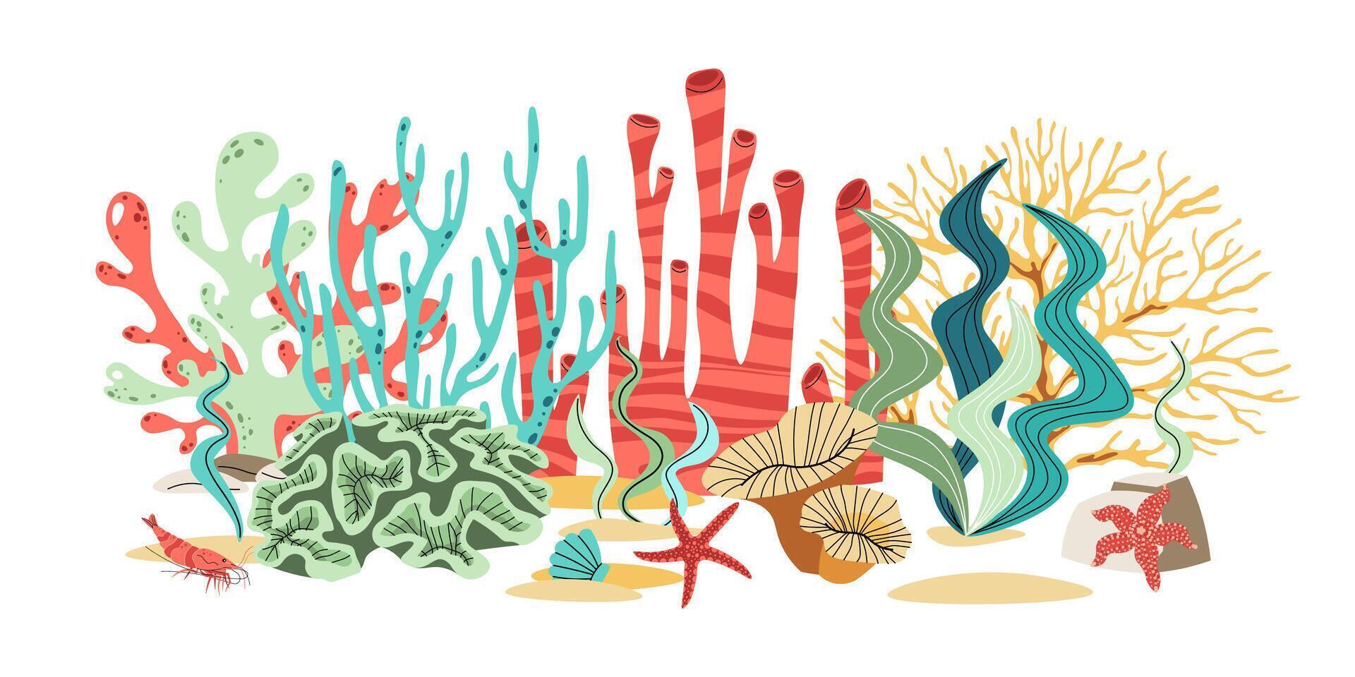 Flat Design Coral and Seaweed Composition on White Background. Minimalist Marine Illustration for Prints, Stickers and Wall Art. vector