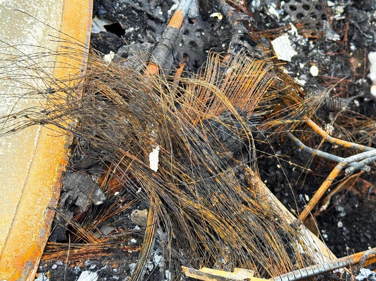 Burned car wiring harness with melted insulation and exposed copper strands, lying among charred debris and structural remains after intense fire damage photo