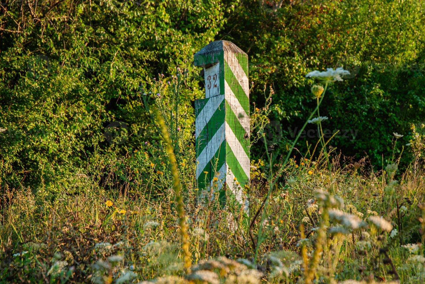 Green and white striped boundary marker in lush forest with wildflowers on a sunny day photo