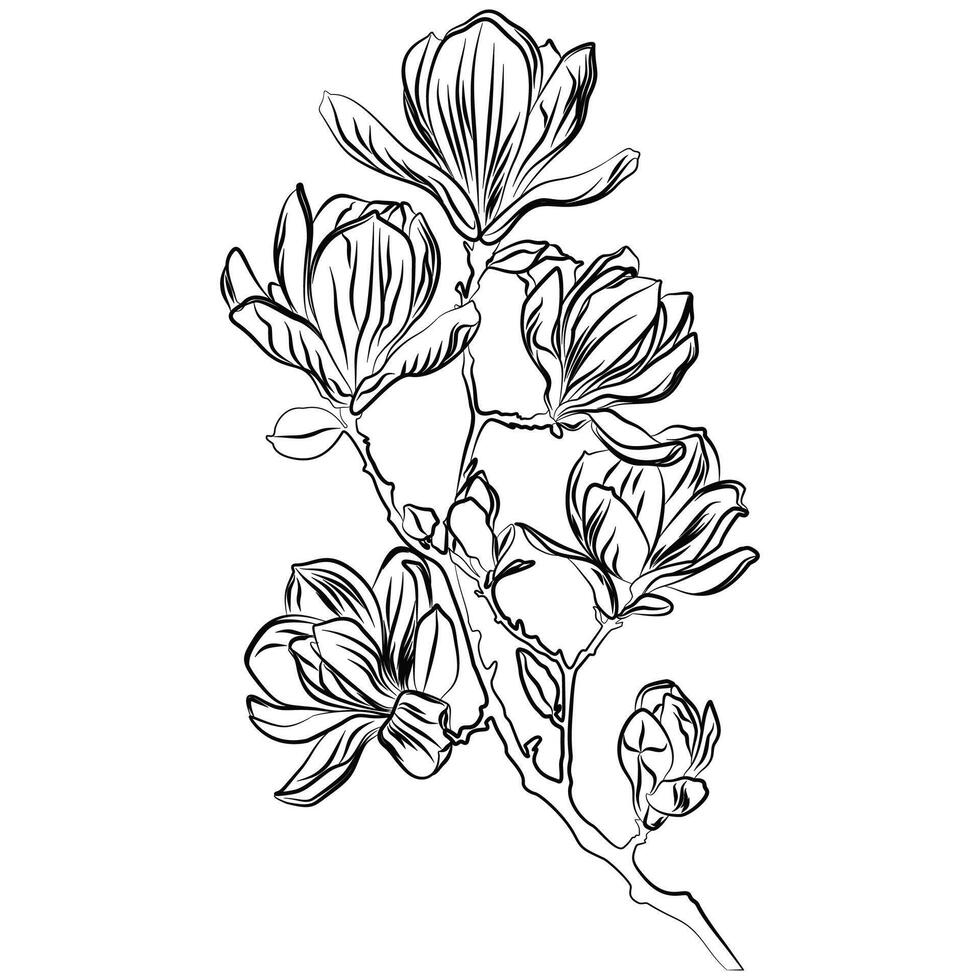 Illustrated decorative flower blossom outline illustration graphic element. vector