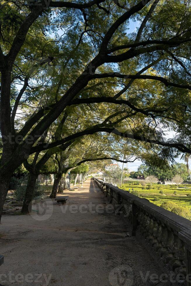 A serene park pathway bathed in sunset light. Cobblestones lead through a tree-lined route, casting shadows. The warm hues evoke tranquility. photo