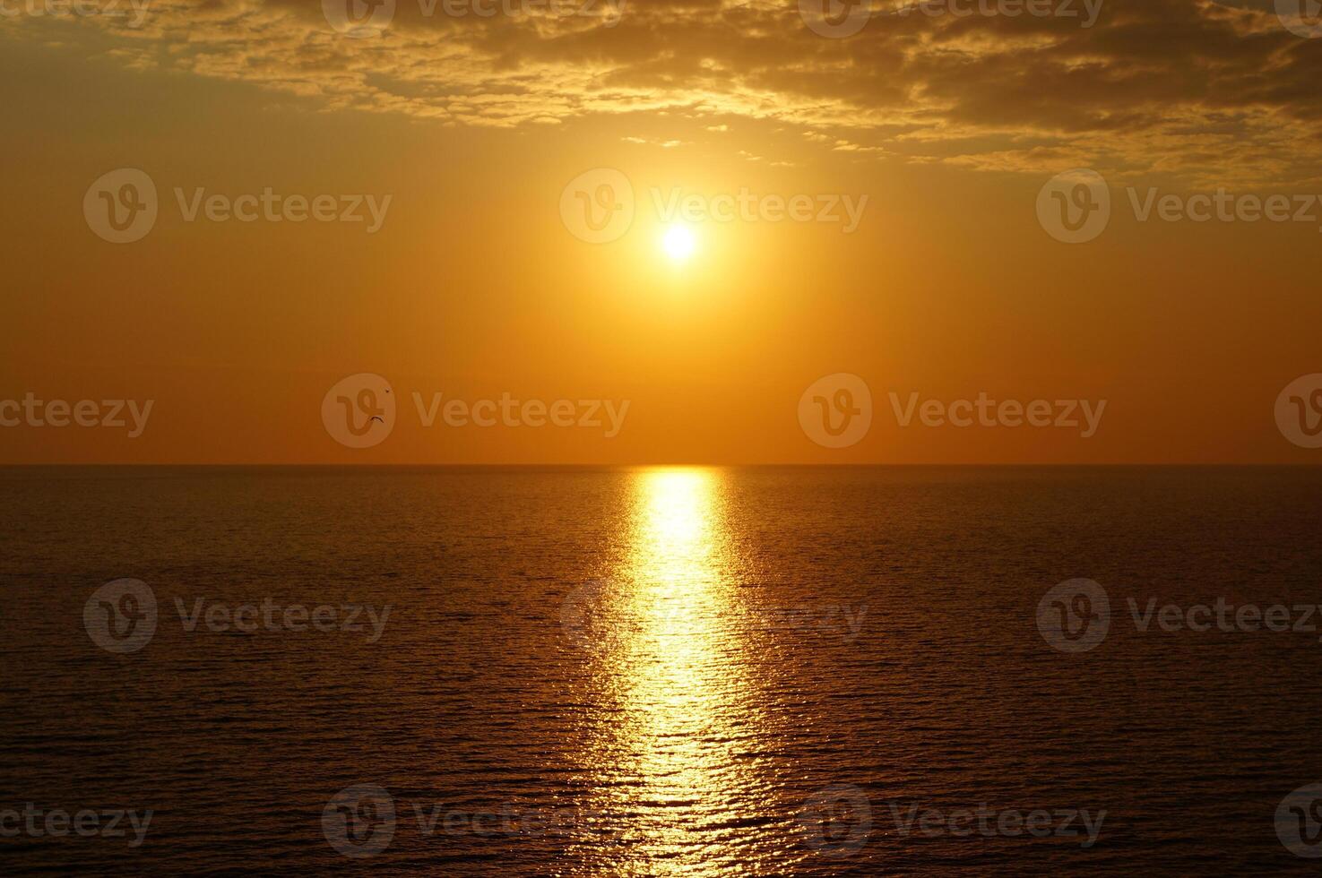 Seascape. Sunset or sunrise over water or sea or ocean, sunlight reflecting in water, birds flying. Sun setting over sea horizon photo