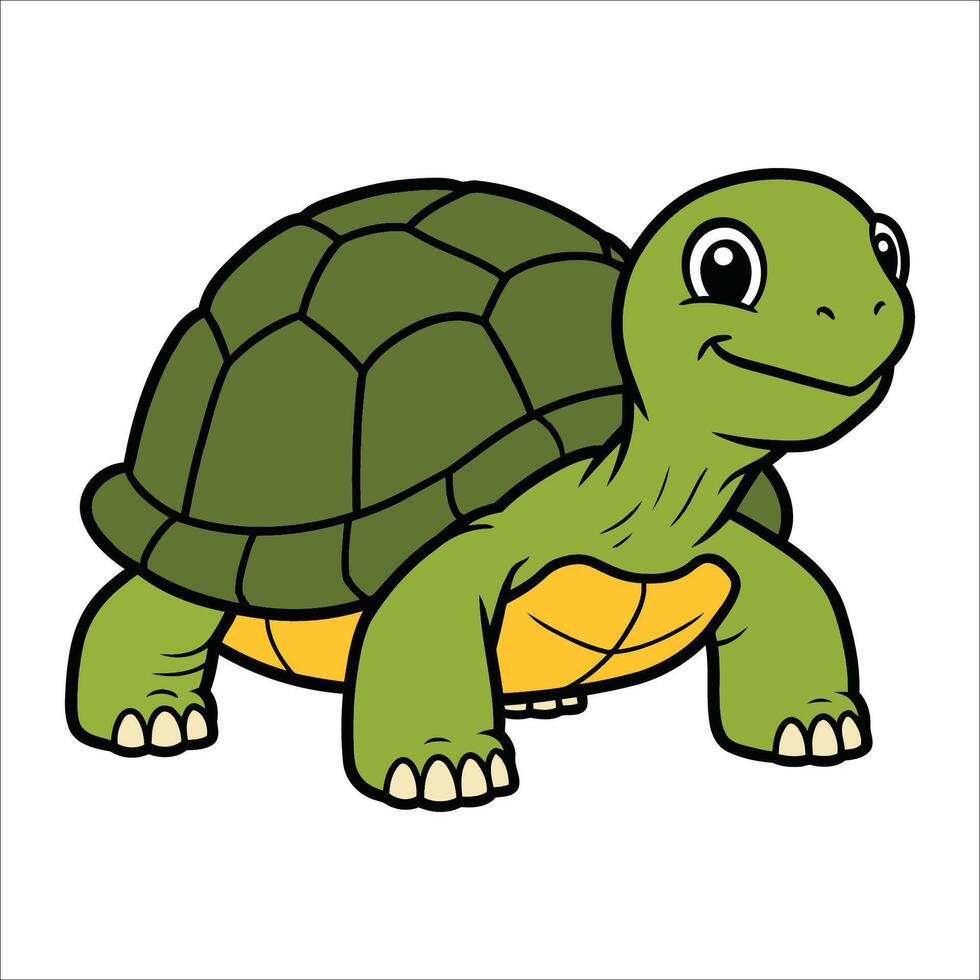 Cartoon illustration of a turtle vector