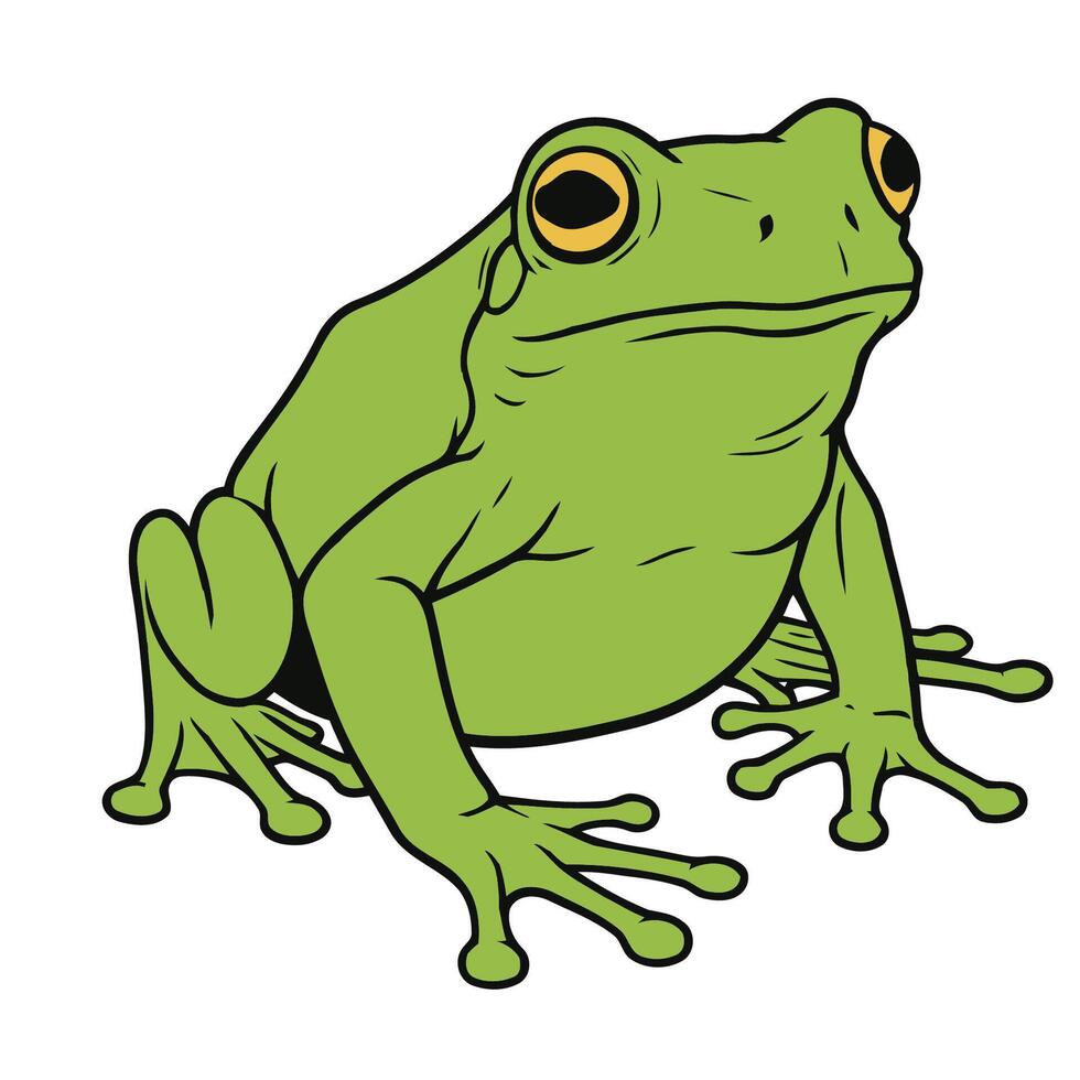 Illustration of a green frog with large, round, yellow eyes. vector