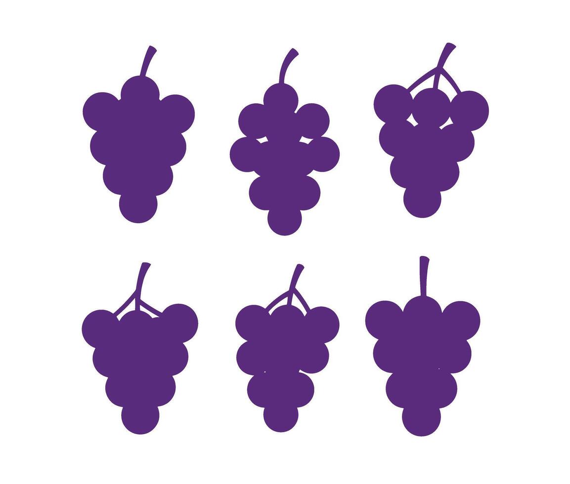 Stylish and Modern Grape Cluster Pack with Colorful and Clean Design vector
