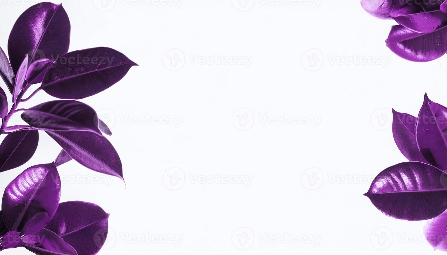Purple Leaves with Copy Space on White photo
