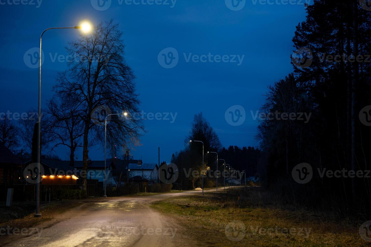 Dimly lit rural road during evening with streetlights, sparse houses on the left, leafless trees on both sides, and a deep blue evening sky. photo
