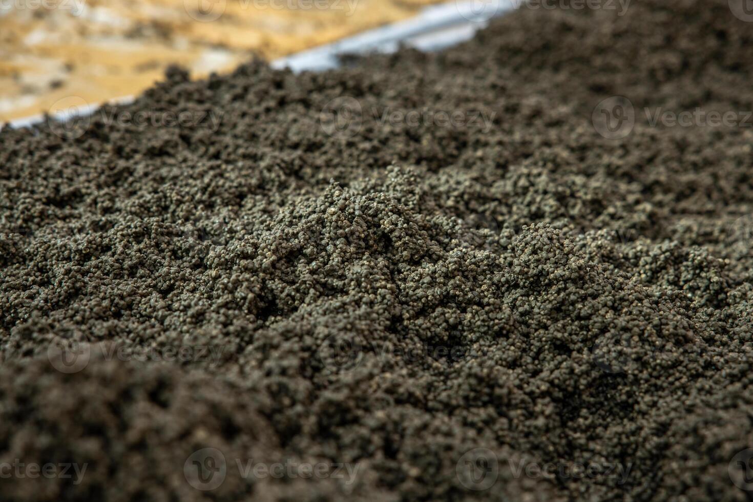 A detailed view of small, dark, granular material spread in an even layer, with a lighter colored area visible at the top, suggesting material separation. photo