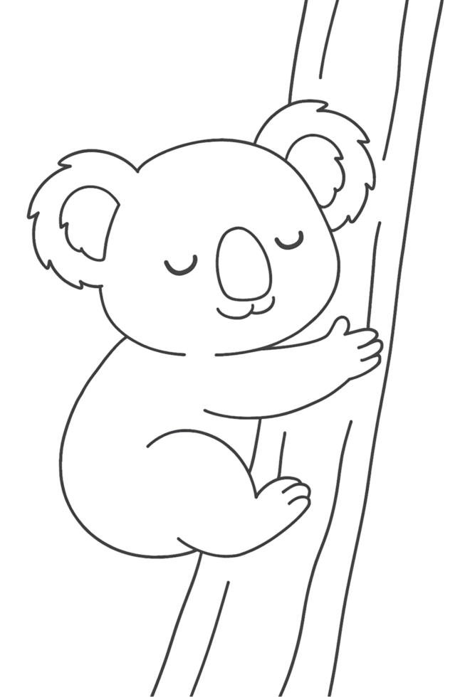 Sleeping koala on tree coloring page with transparent background relaxed environment artistic exploration png