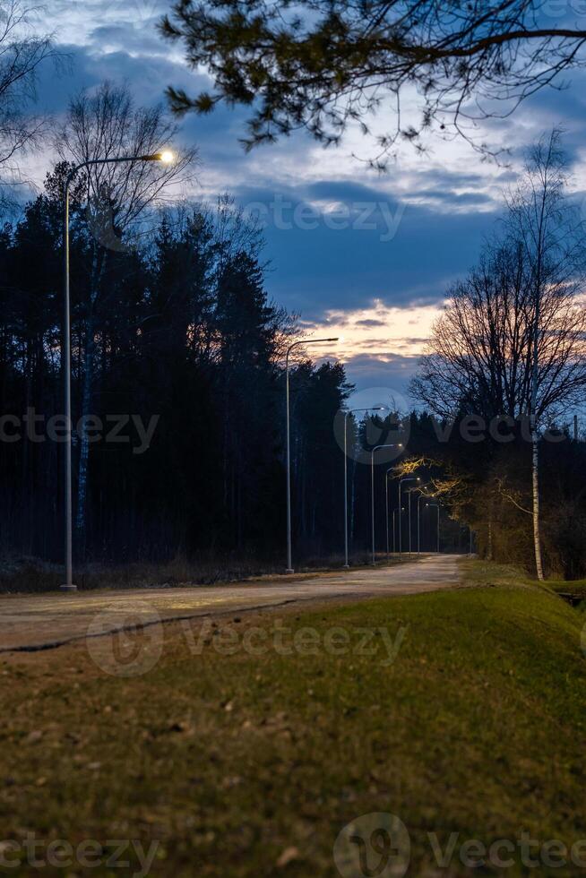 A winding pathway lit by streetlights at dusk, bordered by sparse grass and tall trees. The sky shows dark clouds and fading sunlight hues. photo