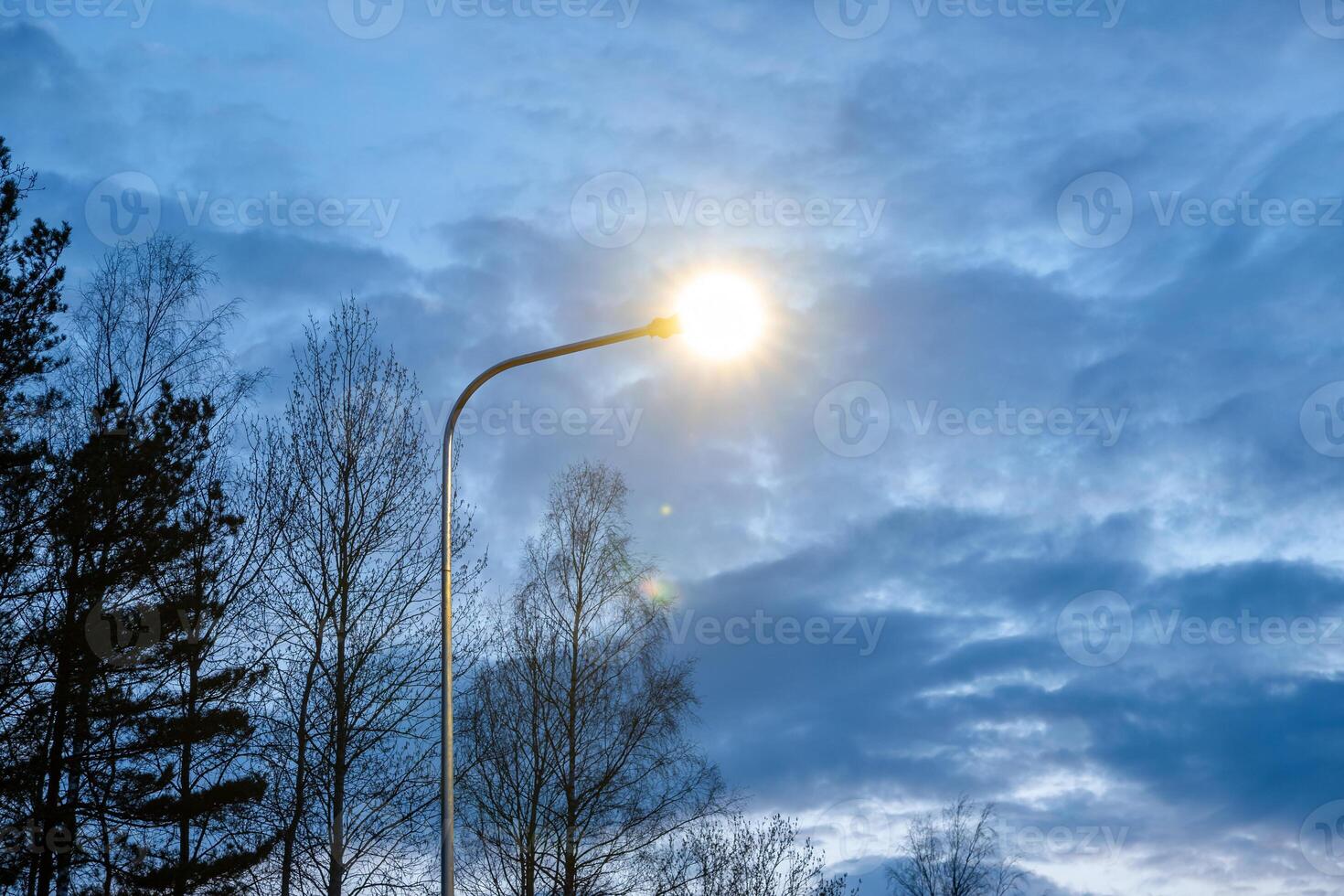 A glowing streetlamp contrasts with bare tree silhouettes and a cloudy evening sky, highlighting the interplay of light and natural elements. photo