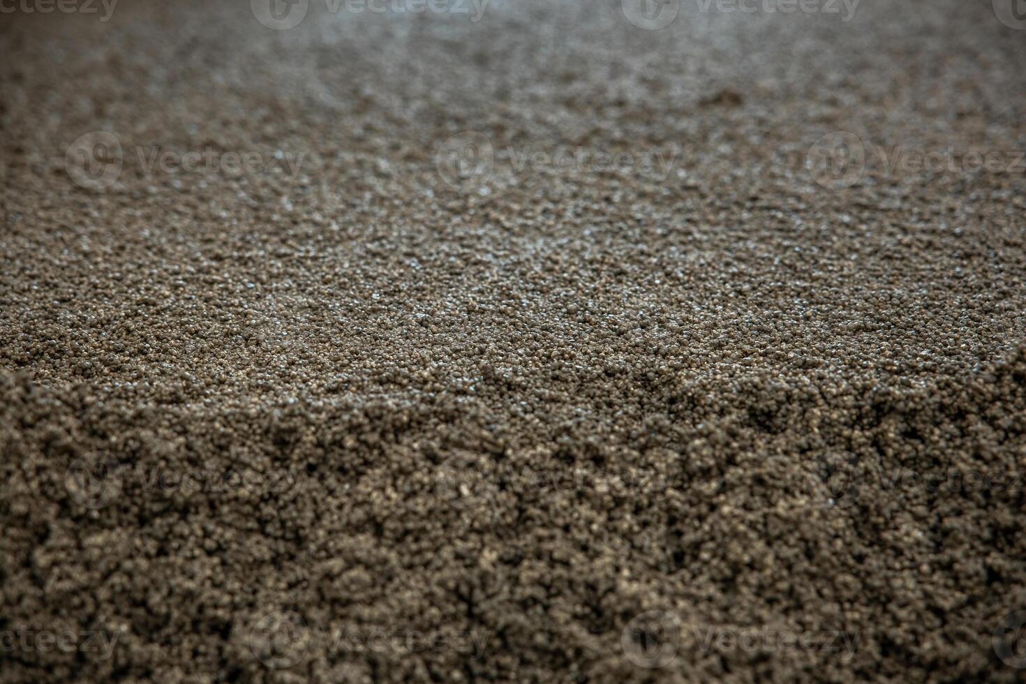 A detailed view of a granular surface, highlighting fine textures, uneven distribution, and subtle color variations without identifiable landmarks. photo