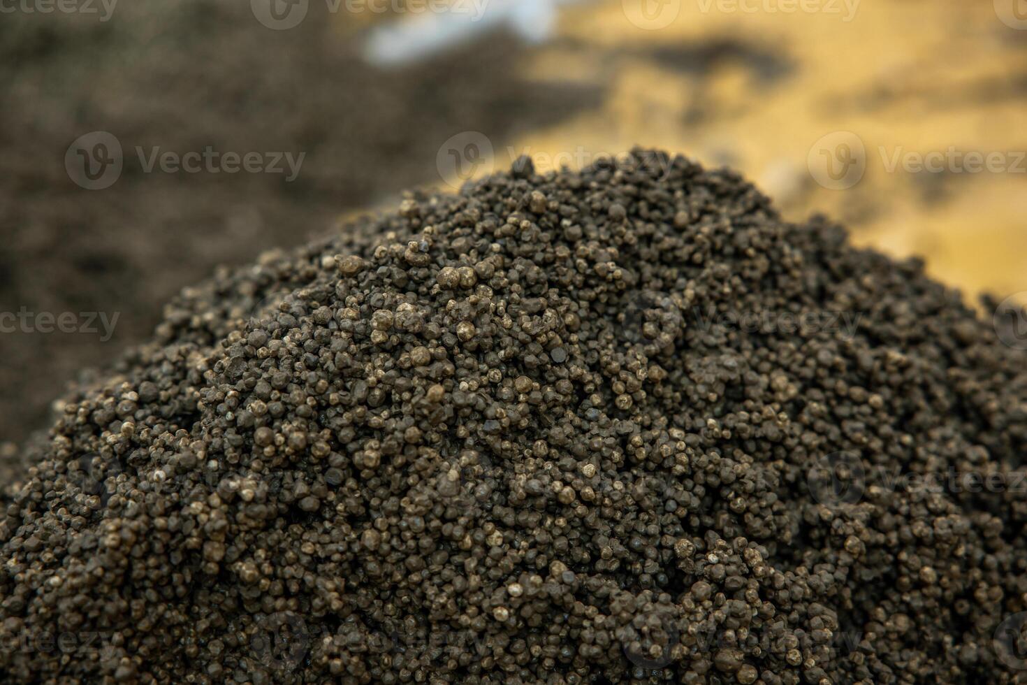 A detailed view of small, dark granules in a large pile, contrasting with a blurred golden brown surface in the distance, emphasizing texture and tone. photo