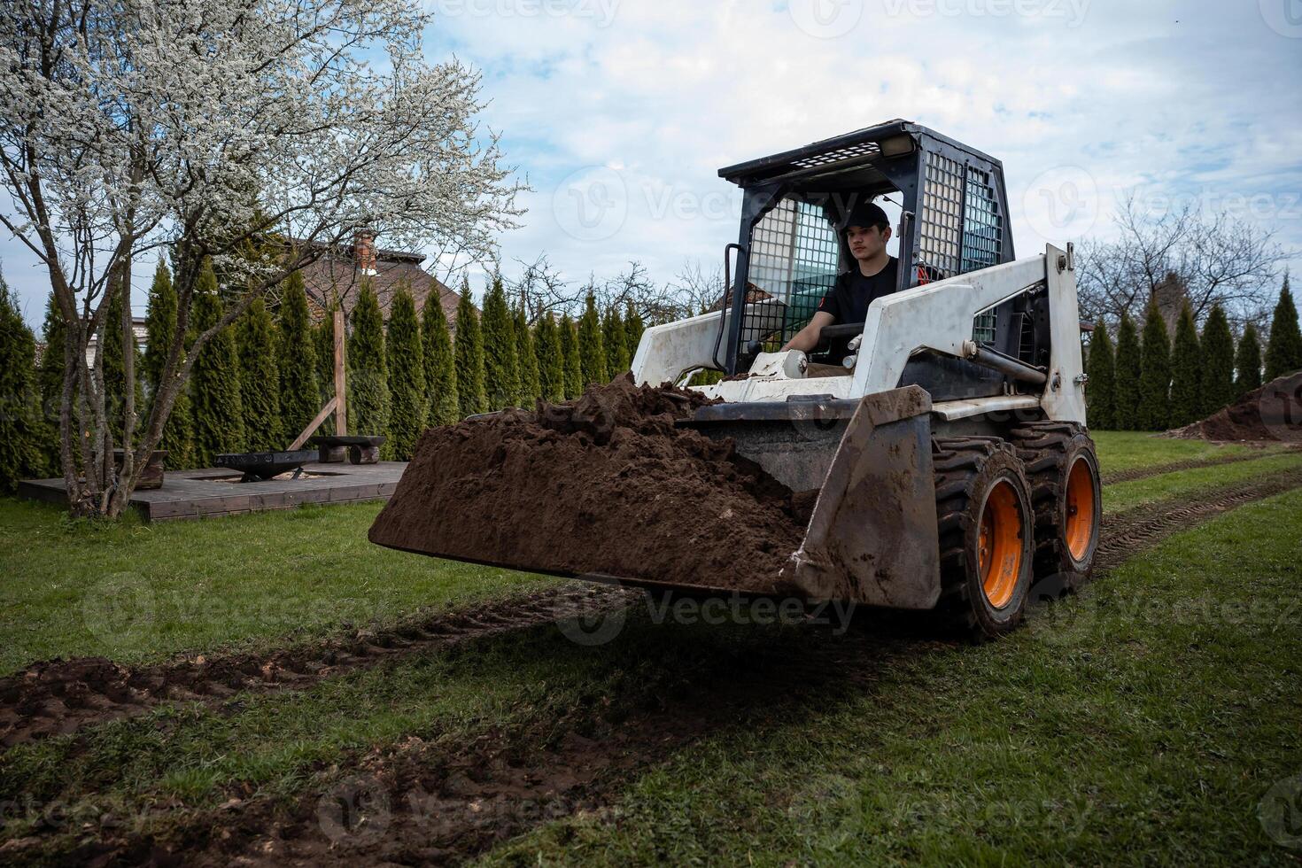 A skid steer loader moves soil on grass, leaving tire tracks. A blossoming tree, trimmed hedges, a wooden platform, and a house roof are visible. photo