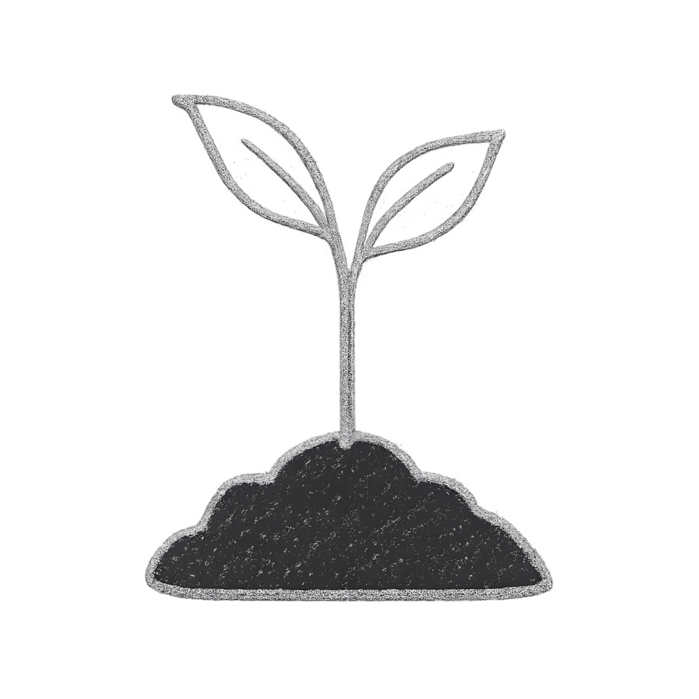 Transparent background of a chalkboard plant sprout emerging from soil in nature close-up viewpoint for gardening concepts png