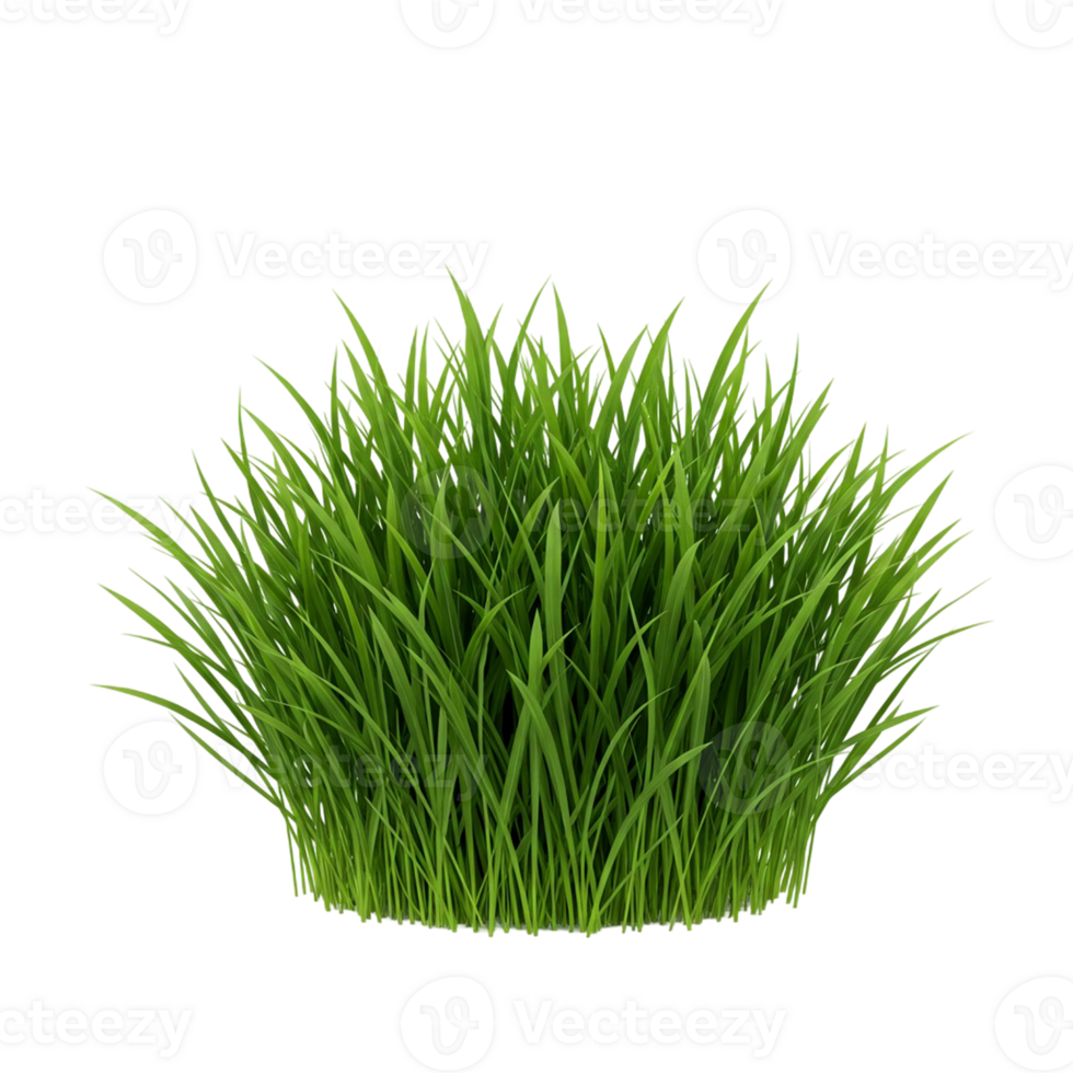 Green grass separated on a transparent layer png