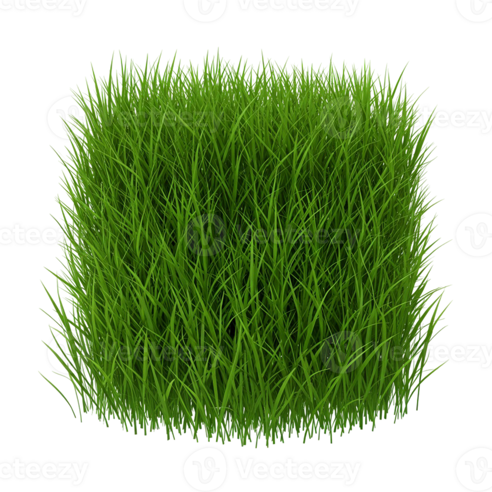 Grass isolated on transparent background png