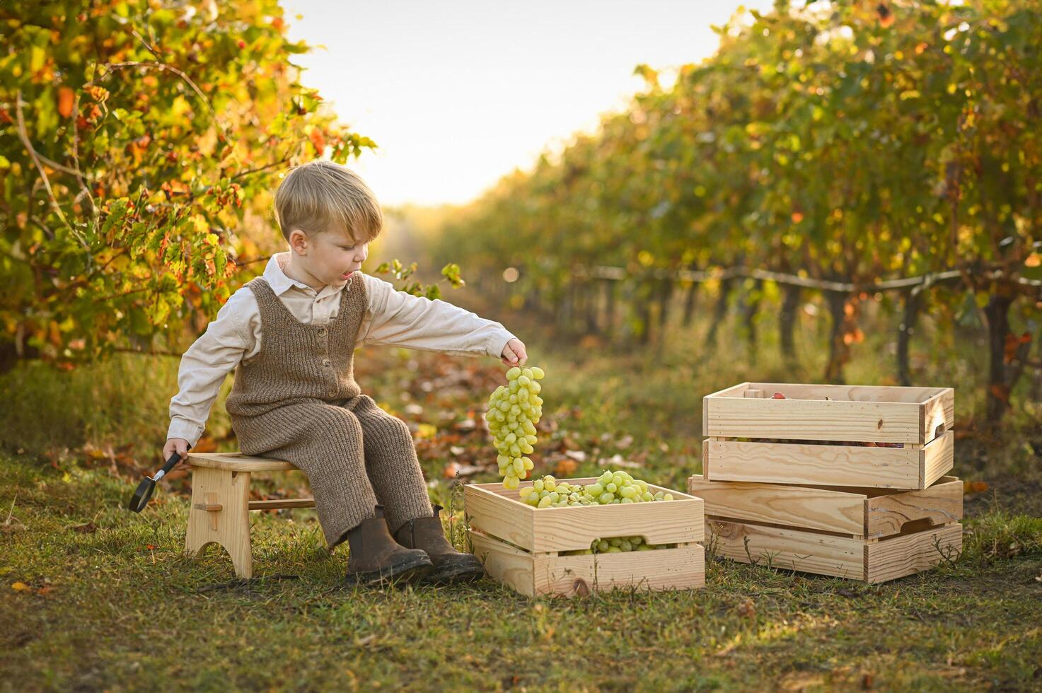 The boy sits near wooden boxes filled with fresh green grapes, curiously inspecting them with a magnifying glass. photo