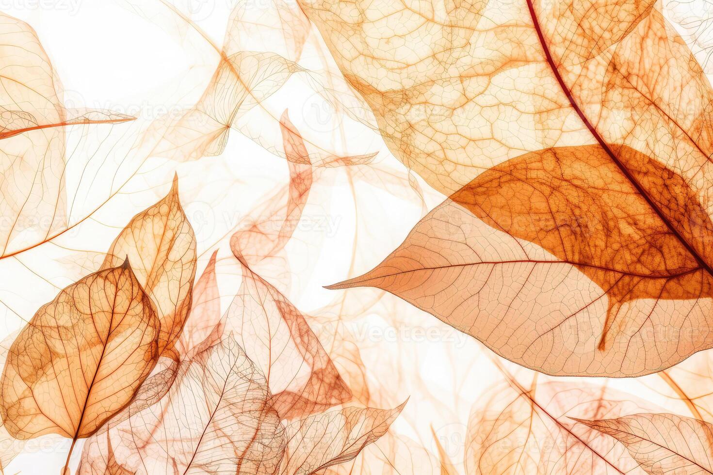 pattern for wallpaper background photo