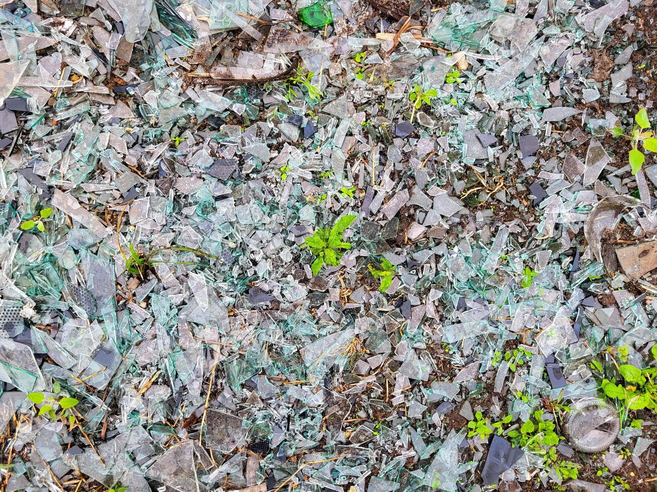 There are pieces of broken car glass on the green grass. photo