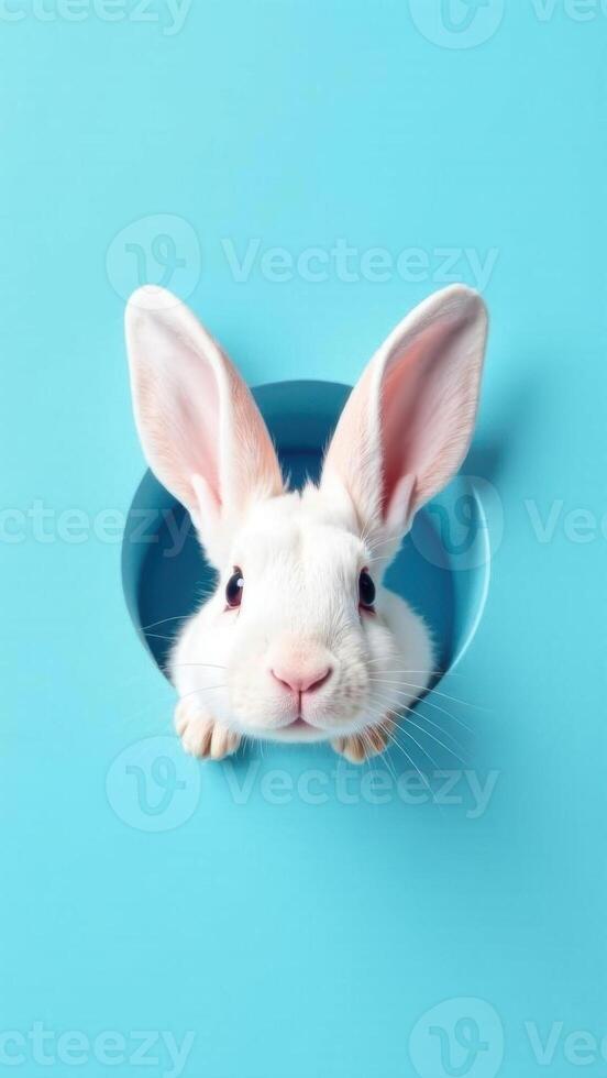 White rabbit peeking out of a round blue bowl against a bright turquoise background, showcasing its adorable features and playful nature, animal concept photo