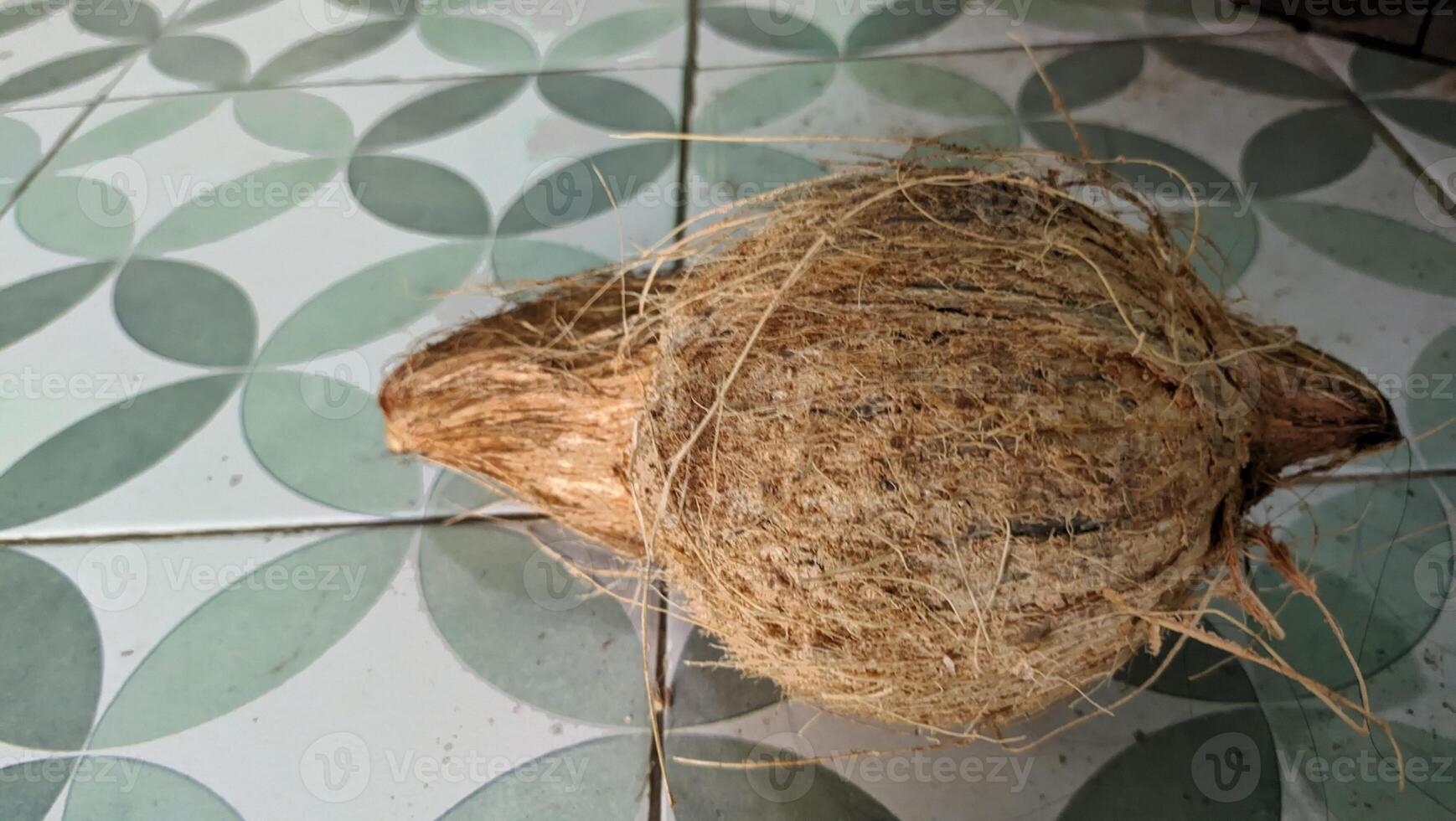 A coconut fruit that has had its outer skin peeled photo