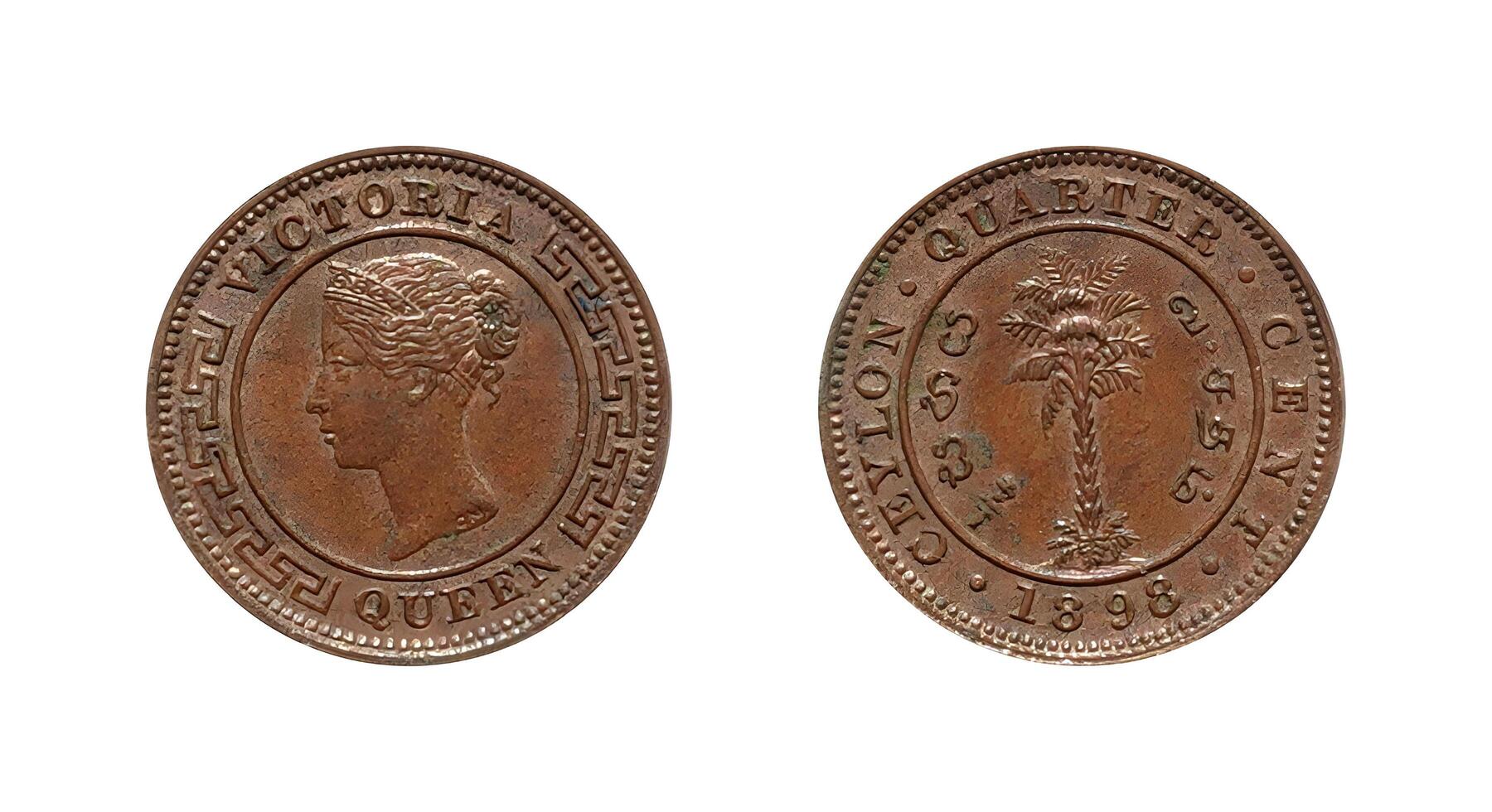 Quarter cent 1898, Coin from Sri Lanka, the coin shows the crowned bust of Queen Victoria facing left and Denomination outside circle, palm tree and Sinhalese and Tamil lettering, It's made of Copper photo