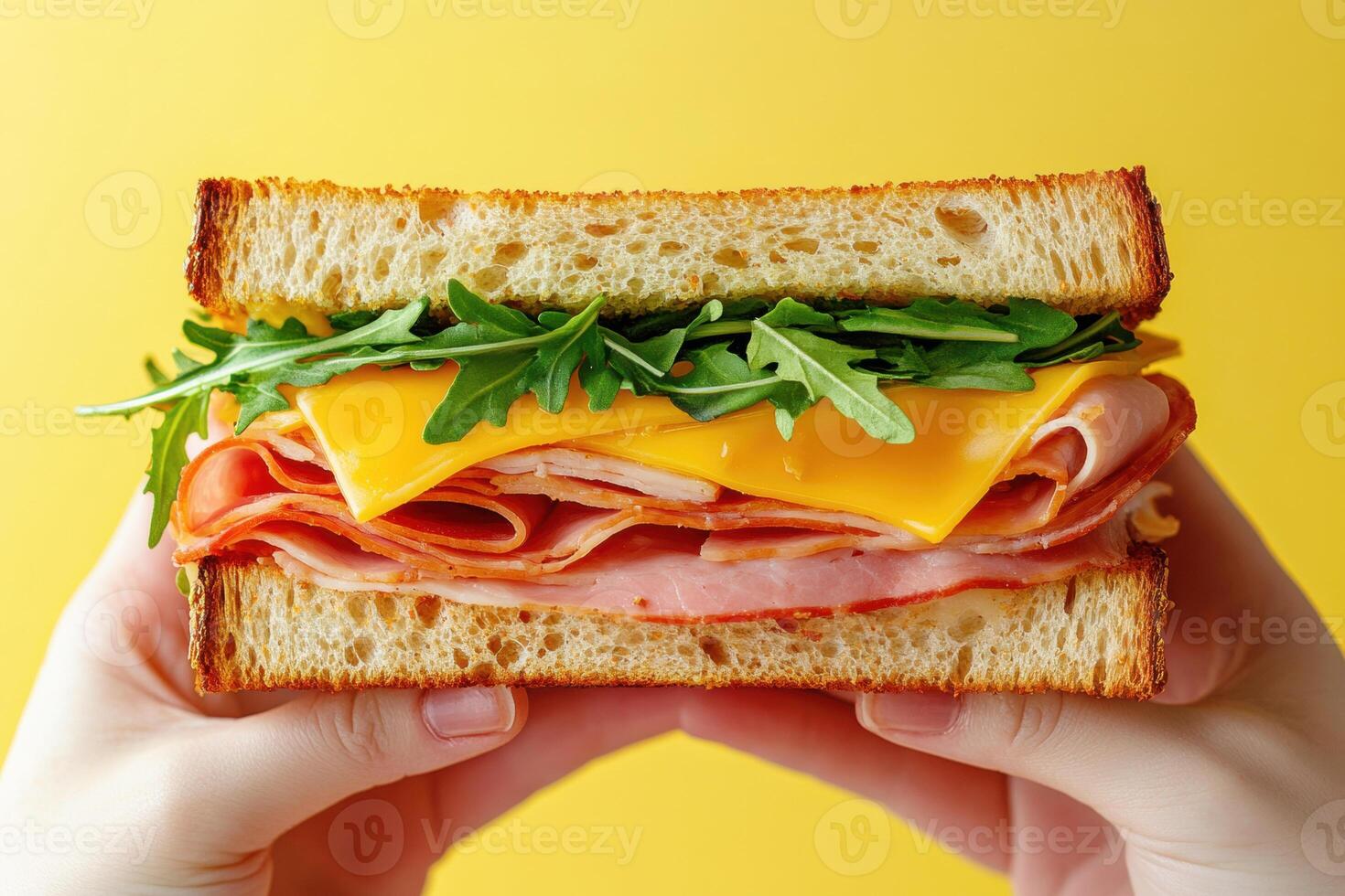 Layered ham sandwich featuring melted cheese, ripe tomato, crisp lettuce nestled between golden brown toasted bread slices photo