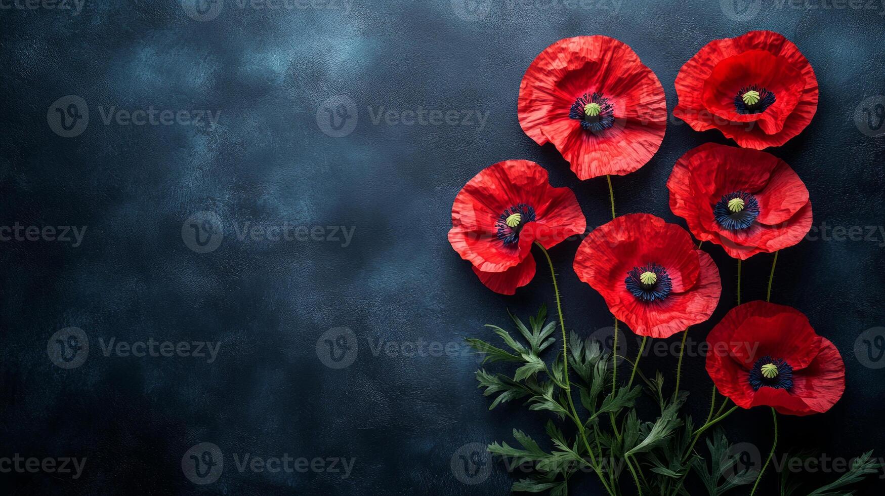 Red poppy flowers on black paper, top view with a trial copy space. photo