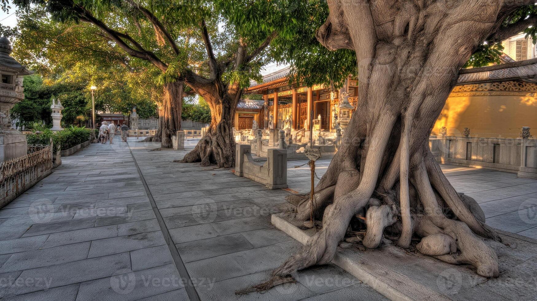 Ancient temple path lined with trees photo