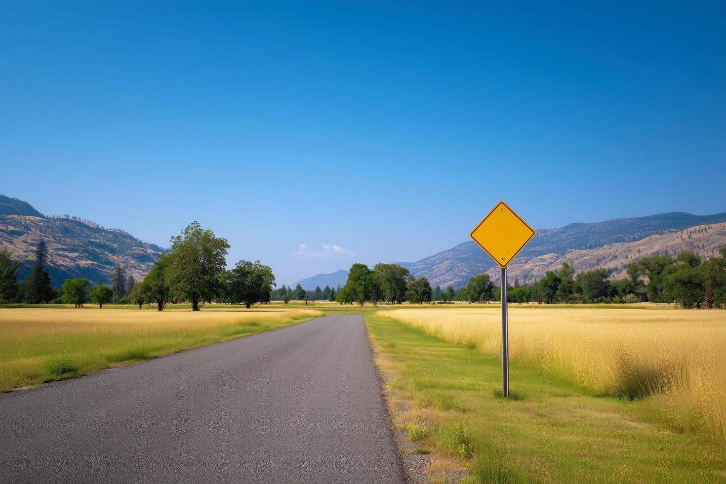 Yellow sign is on a road in a field photo