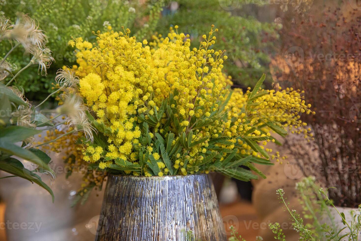 Vase of fresh cut Acacia Dealbata, also known as silver wattle or mimosa in spring. Horizontal. Selective focus. Close-up. photo