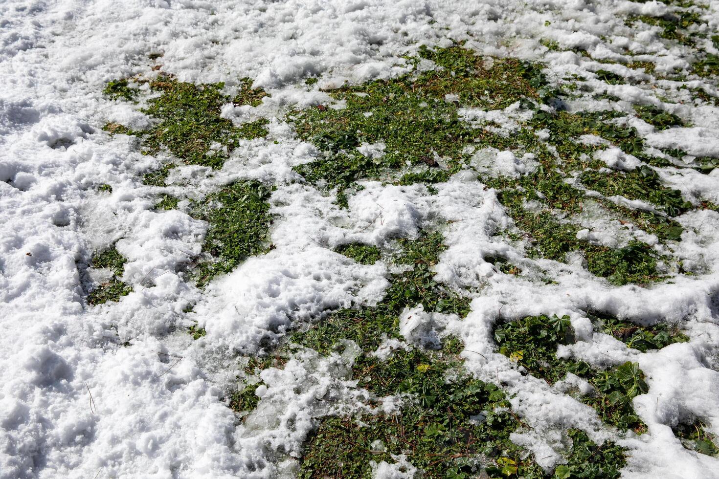 Green lawn partially covered with snow in Athens, Greece, 17th of February 2021. Horizontal. photo