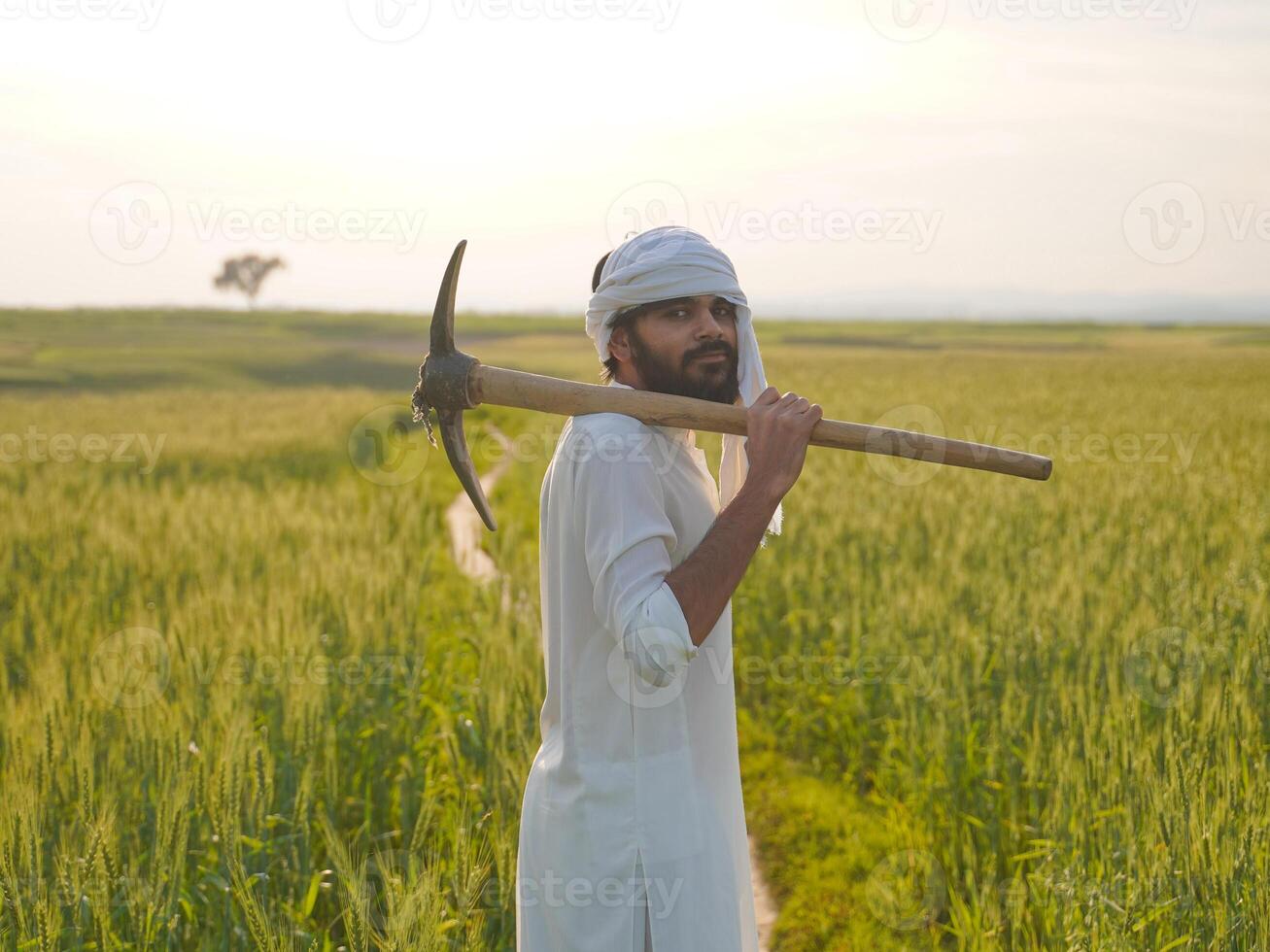 A Pakistani Indian farmer in white traditional attire stands in a lush wheat field, carrying a pickaxe over his shoulder at sunset. photo