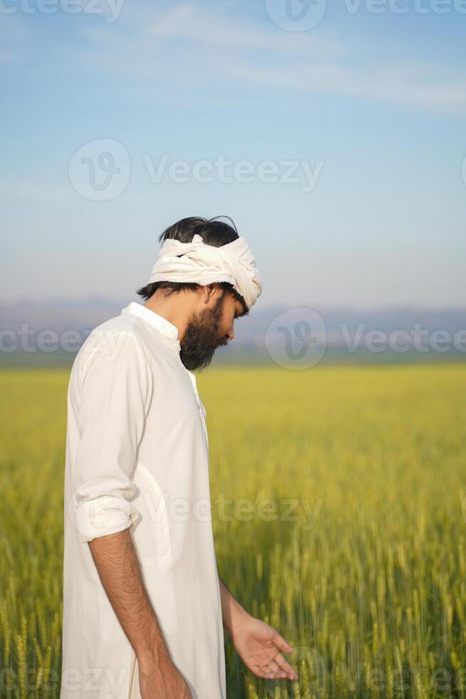 A farmer wearing traditional white clothing and a turban stands in a lush green wheat field under a clear blue sky. photo