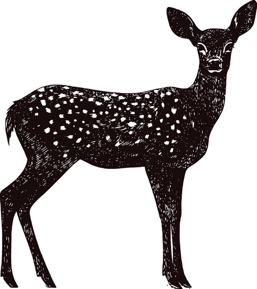 Step by Step Deer Artwork Guide Improve Shading and Outlining for Realistic Illustrations vector