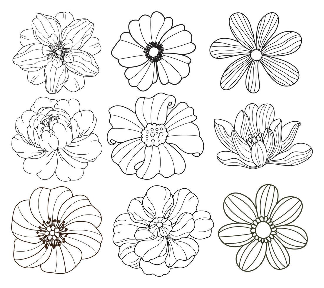 Set of flower. Hand drawn elements. Plant Art design for print, cover, wallpaper, Minimal and natural wall. vector