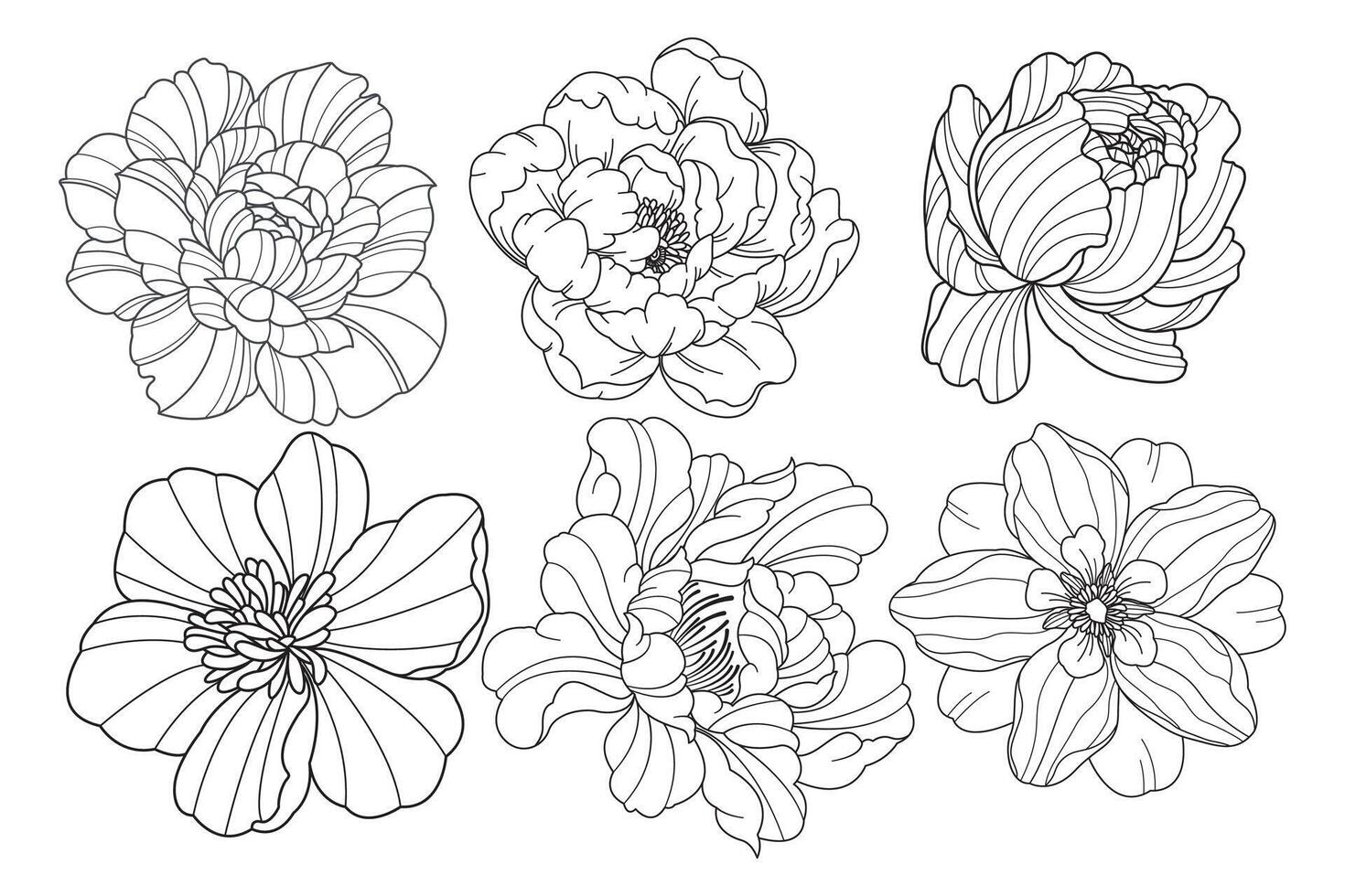 Hand drawn flower decorative elements. vector