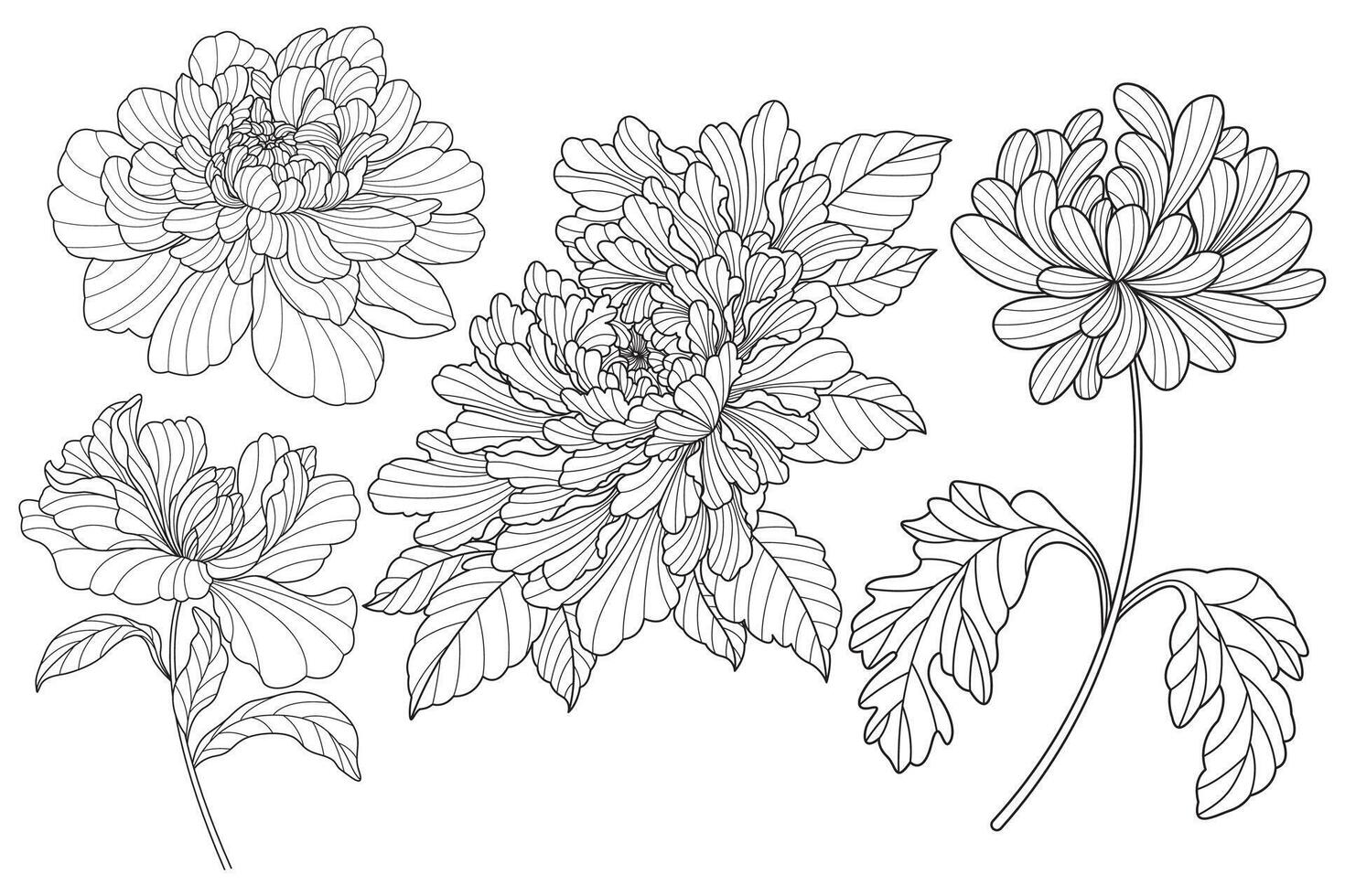 Flower line art drawing with abstract shape. vector
