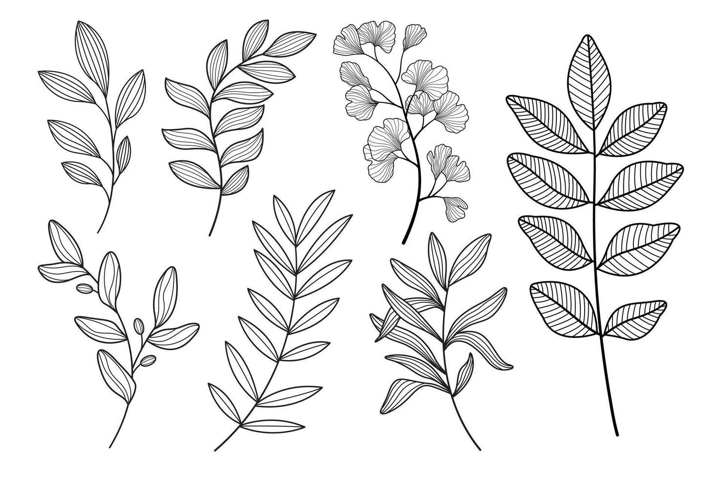 leaf drawing line art drawing with abstract shape vector