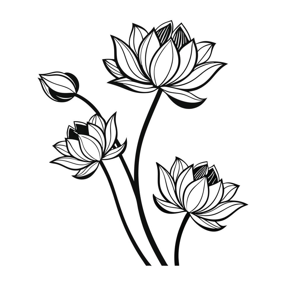 black and white drawing of lotus flowers. vector
