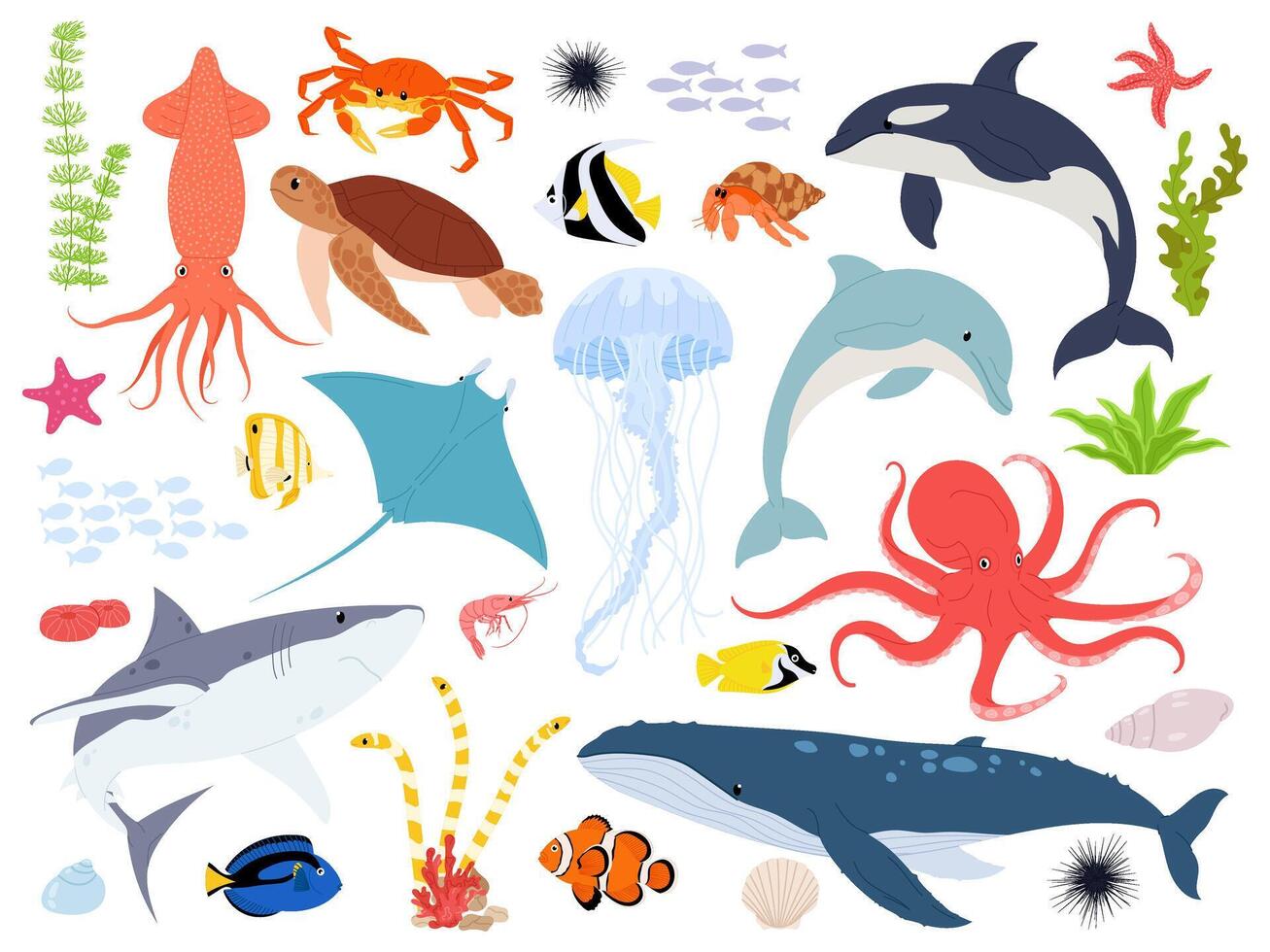 Marine animals with elements of underwater life. Sea animals illustration set. Cute sea or oceanic inhabitants on a white background. vector
